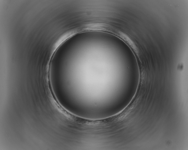 X0000090901386200707301403