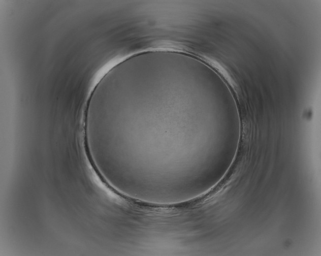 X0000090901387200707301403