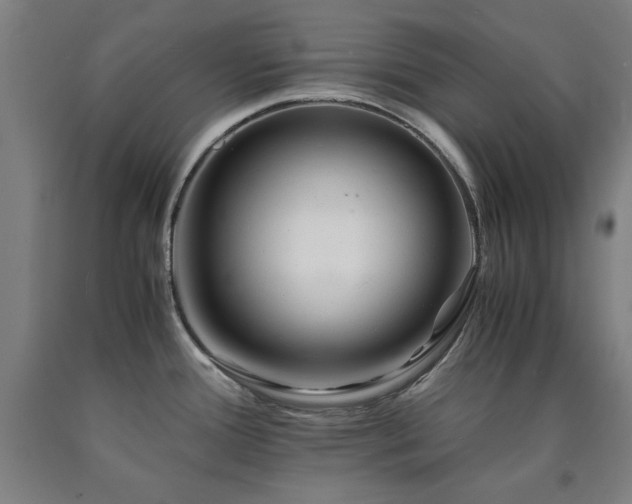 X0000090901388200707301403