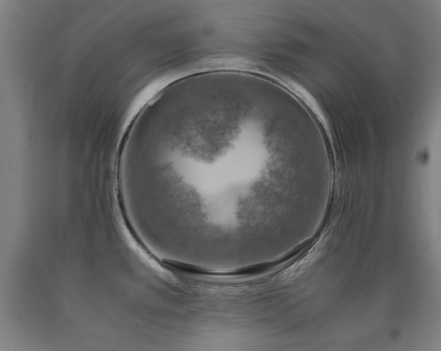 X0000090901389200707301403