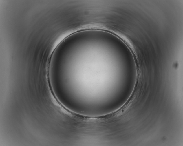 X0000090901390200707301403