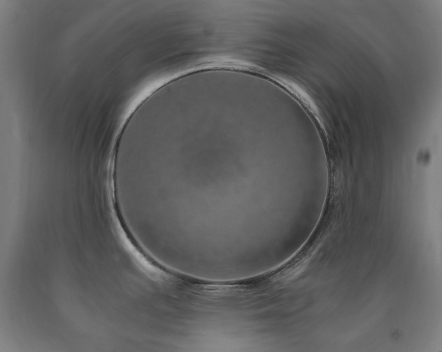 X0000090901391200707301403