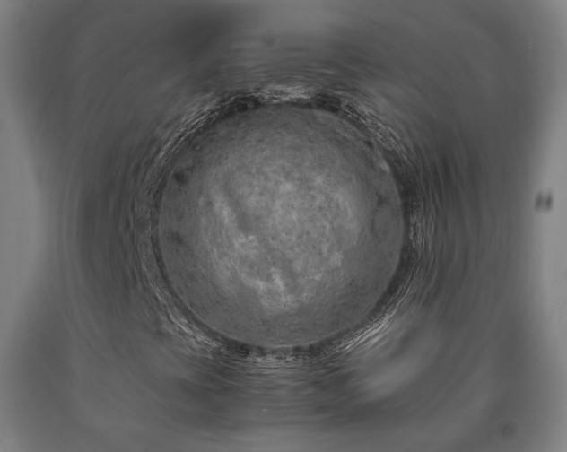 X0000090901393200707301403