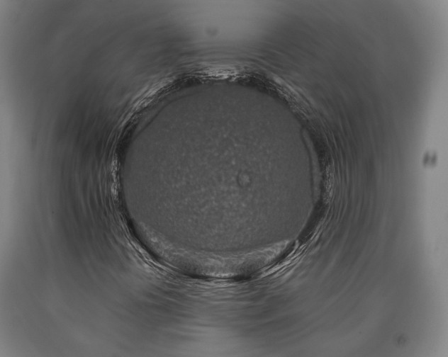 X0000090901394200707301403