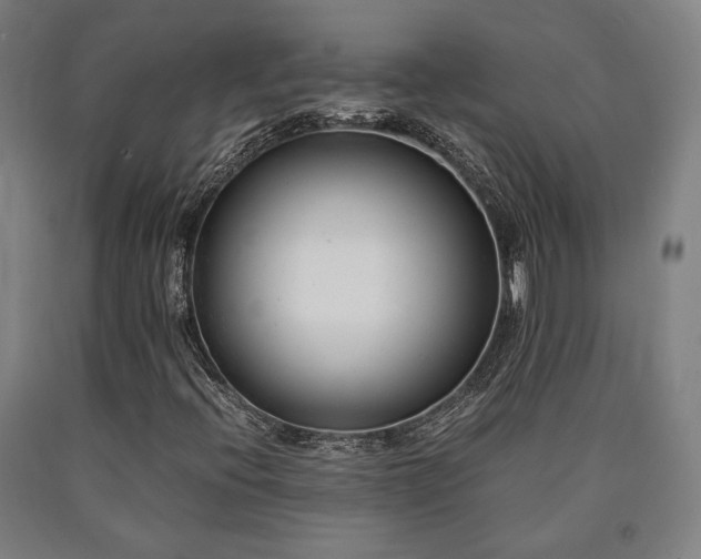 X0000090901396200707301403