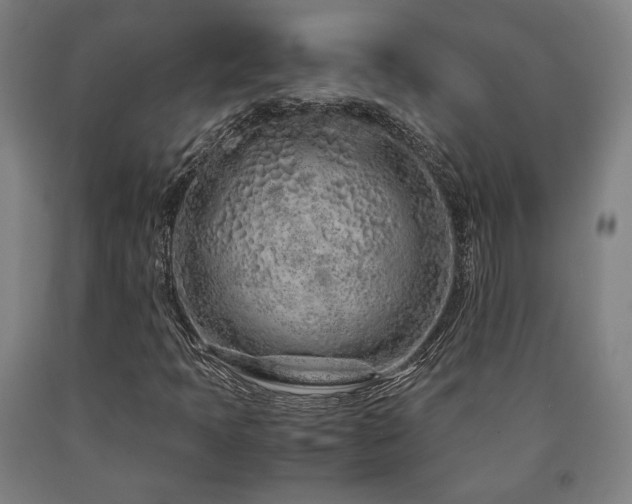 X0000090901397200707301403