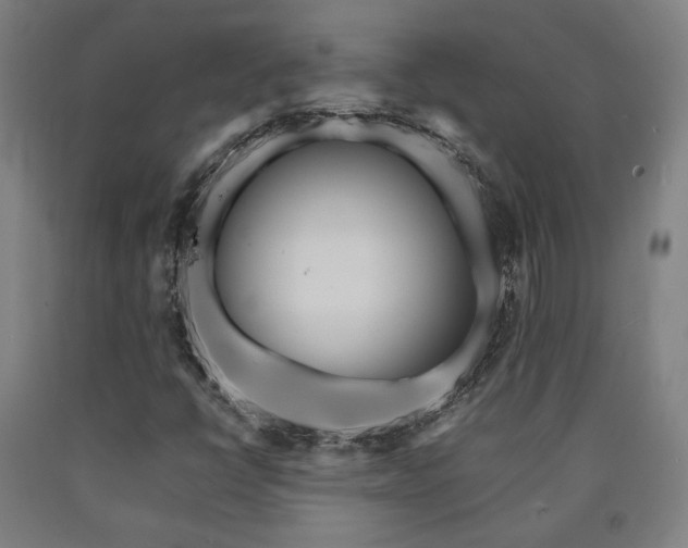 X0000090901398200707301403