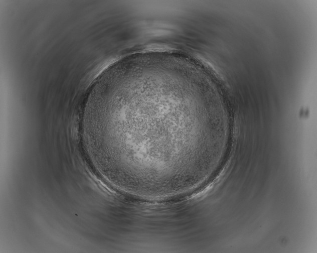 X0000090901401200707301403