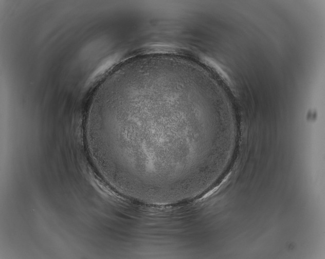 X0000090901403200707301403