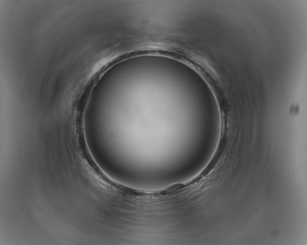 X0000090901404200707301403