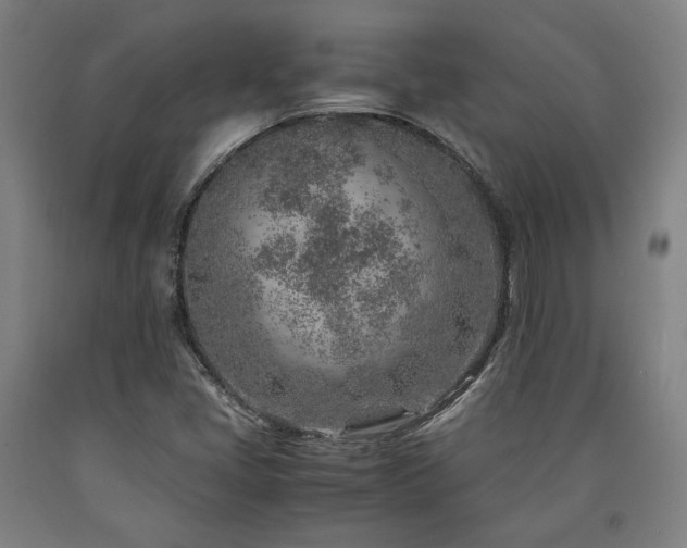 X0000090901405200707301403