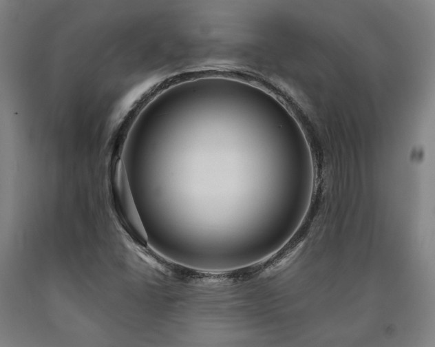 X0000090901406200707301403