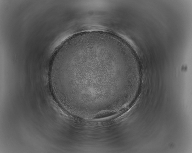 X0000090901407200707301403
