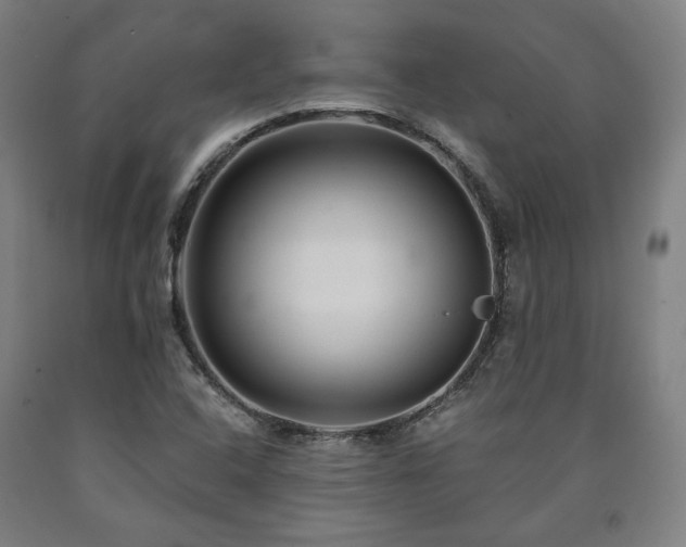 X0000090901408200707301403