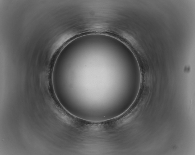 X0000090901410200707301403