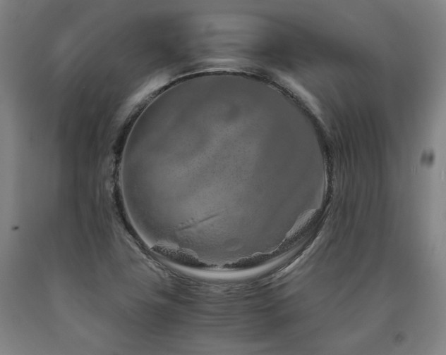 X0000090901411200707301403