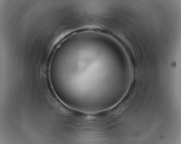 X0000090901412200707301403