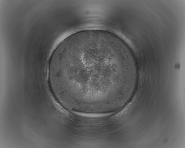 X0000090901413200707301403