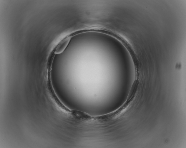 X0000090901414200707301403