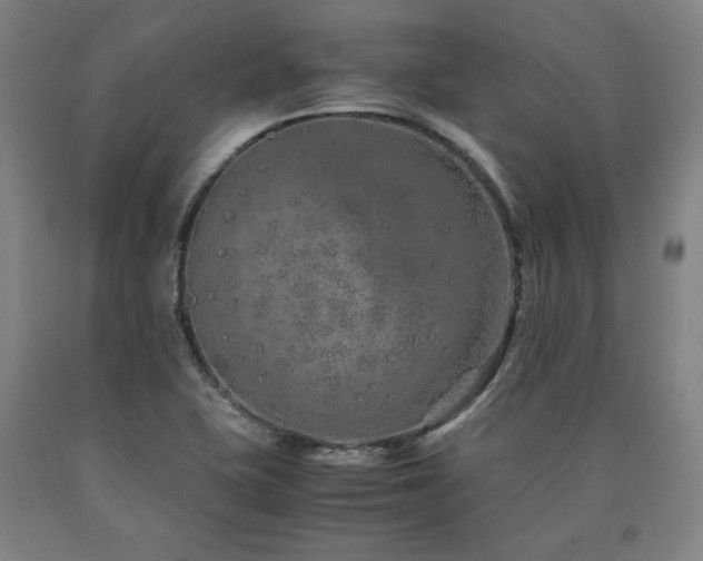 X0000090901415200707301403