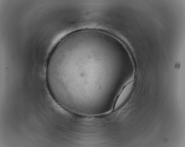 X0000090901416200707301403