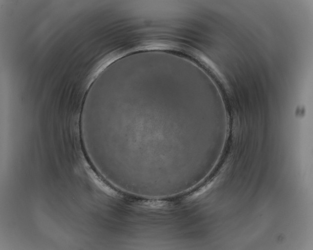X0000090901417200707301403