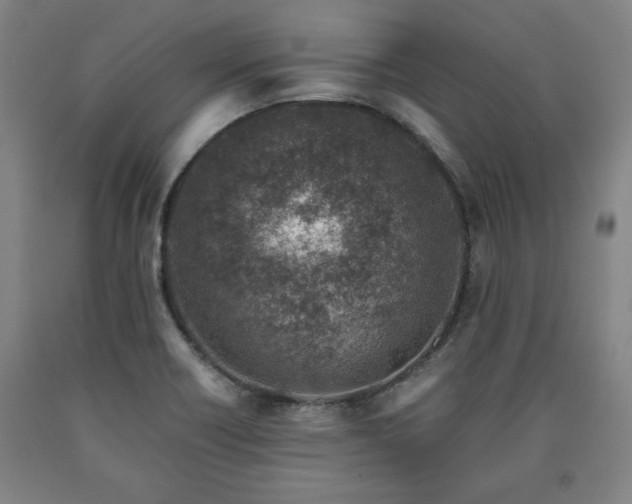 X0000090901418200707301403
