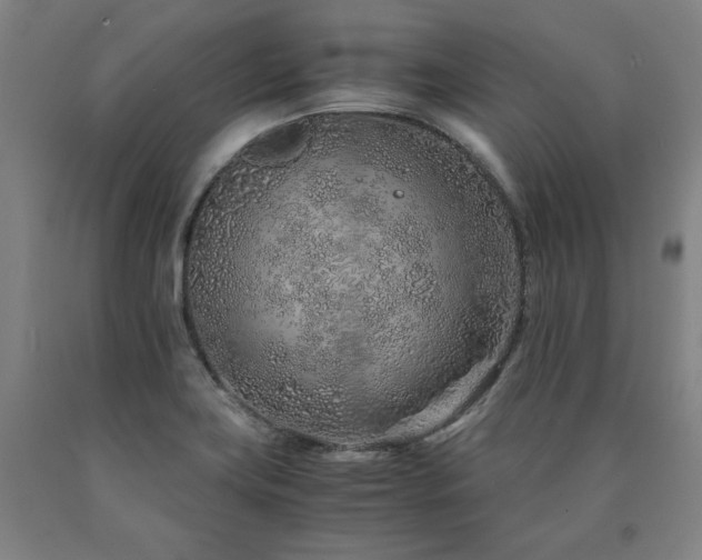 X0000090901419200707301403