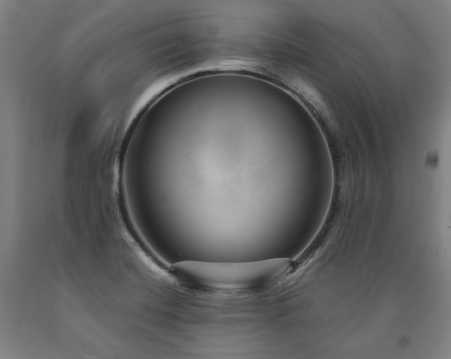 X0000090901420200707301403