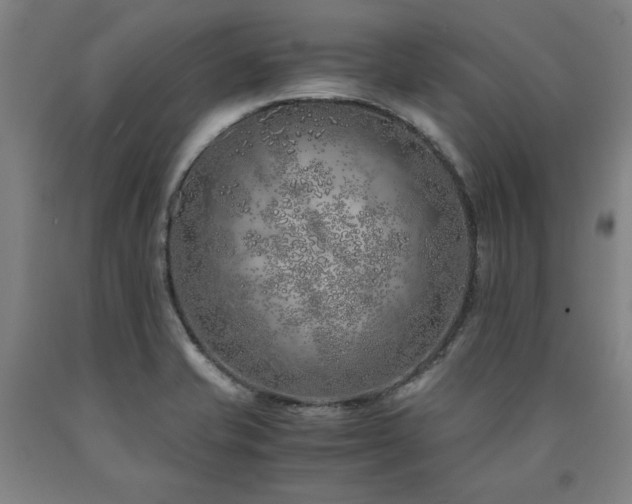 X0000090901421200707301403