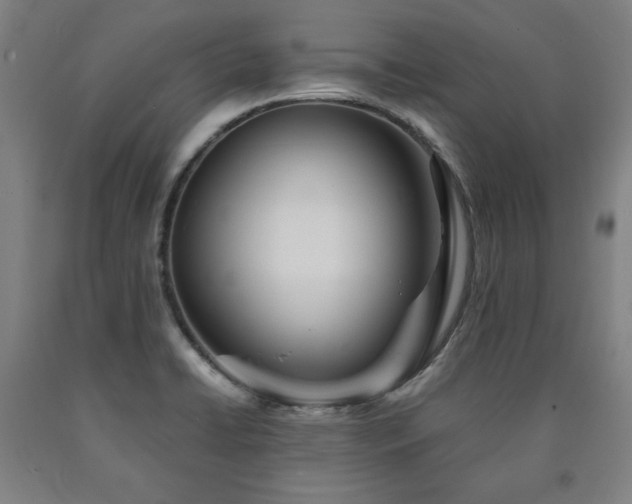 X0000090901422200707301403