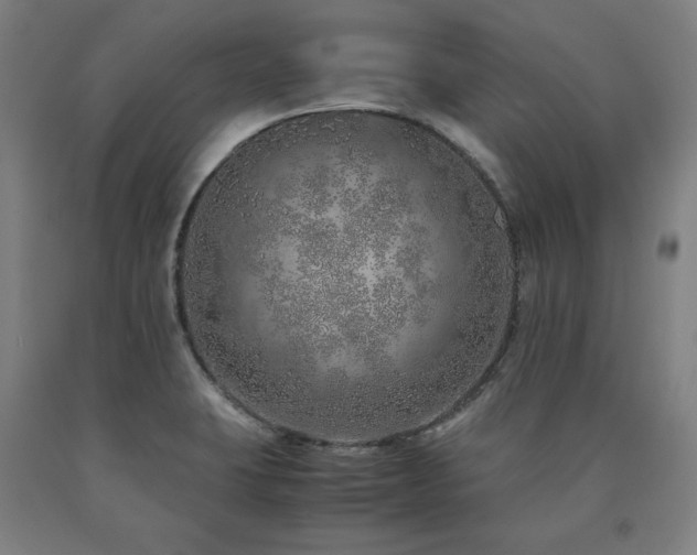 X0000090901423200707301403