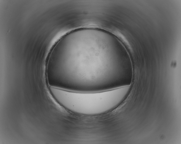 X0000090901424200707301403