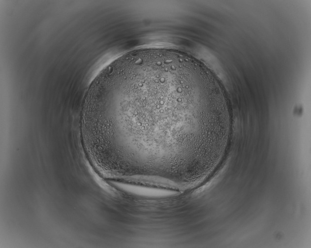 X0000090901425200707301403