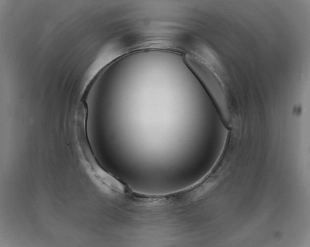 X0000090901426200707301403
