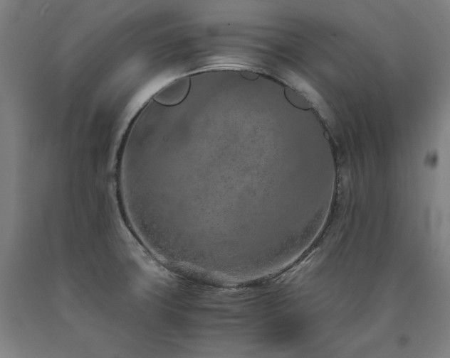 X0000090901427200707301403