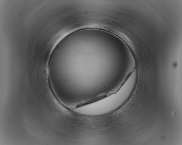 X0000090901428200707301403