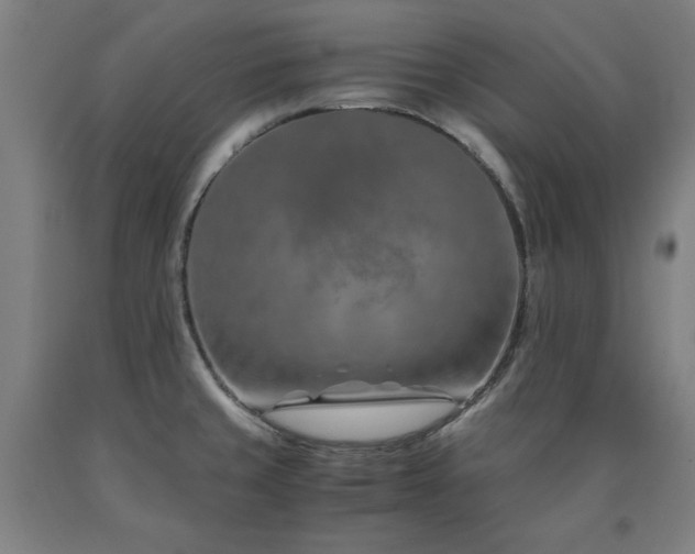 X0000090901429200707301403