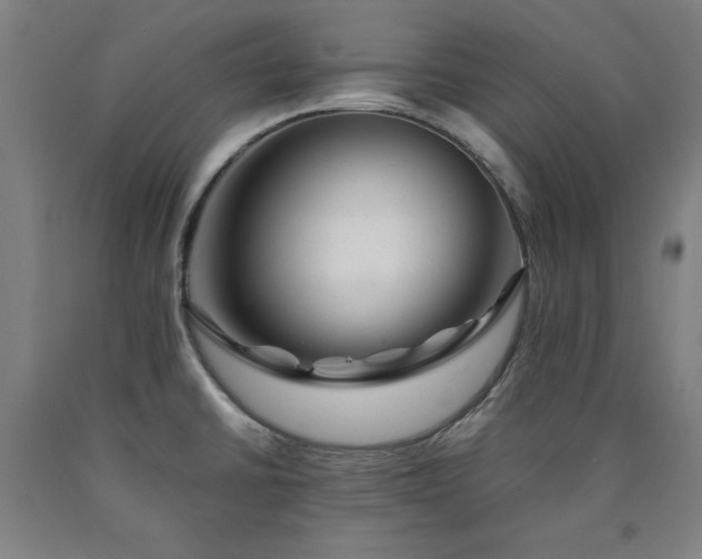 X0000090901430200707301403