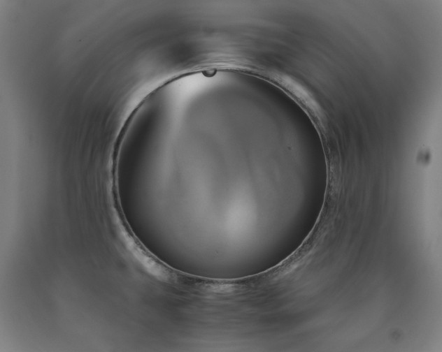 X0000090901431200707301403