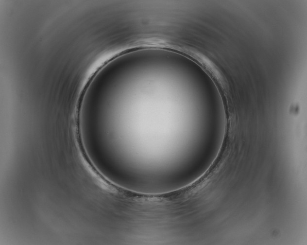 X0000090901432200707301403