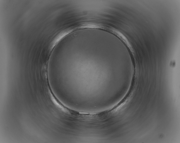 X0000090901433200707301403