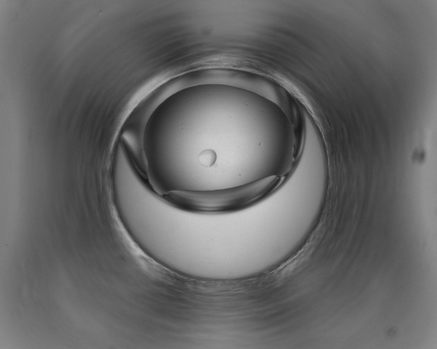 X0000090901434200707301403