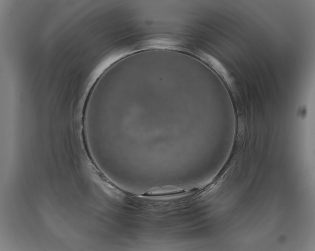 X0000090901435200707301403