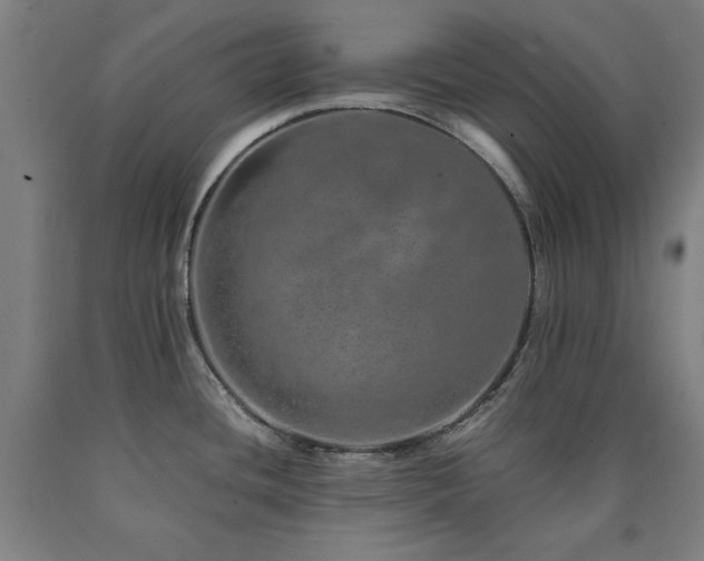 X0000090901436200707301403