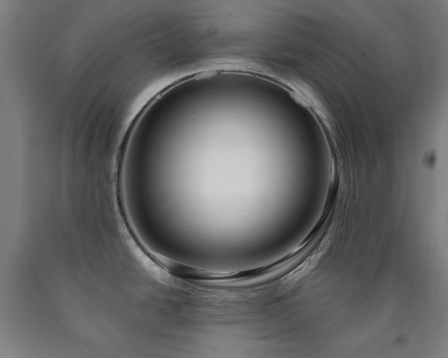 X0000090901438200707301403