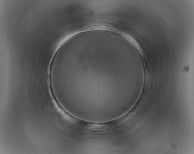 X0000090901439200707301403