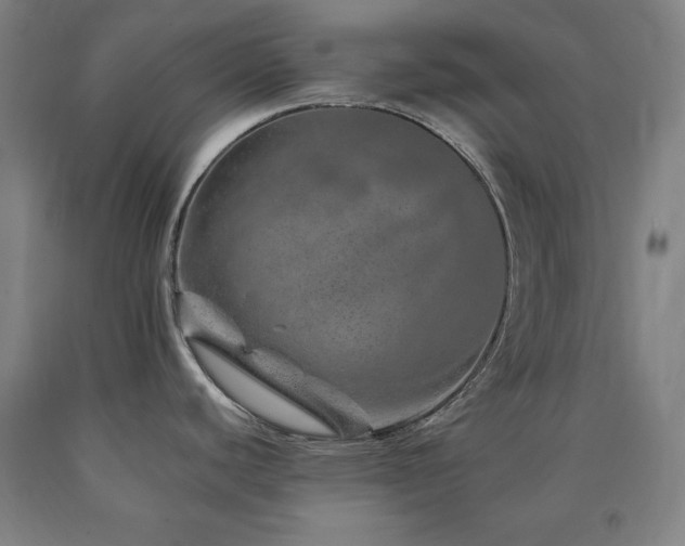 X0000090901440200707301403