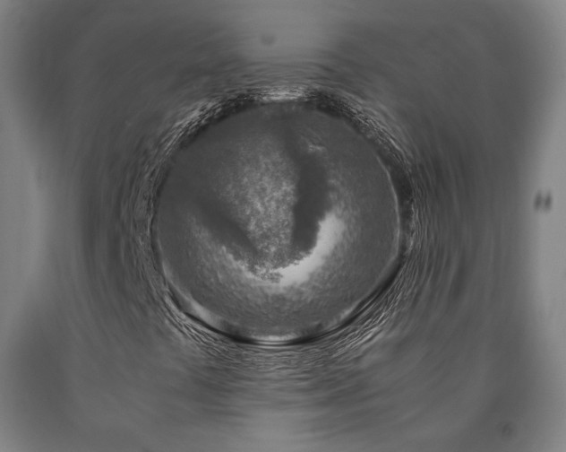 X0000090901441200707301403
