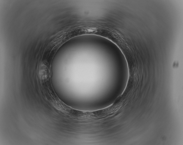 X0000090901442200707301403